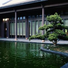 绍兴东山大观酒店·匯西餐厅 Metropolis User Photo