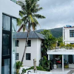 嗲嗲的椰子鸡·海南火锅(亚龙湾博后村店) User Photo