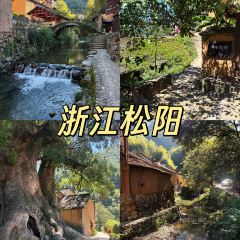 飞茑集樢咖啡 User Photo