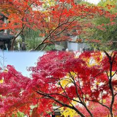SHUDAXIA HOT POT User Photo