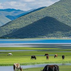 Kamba Nomadic Cafe User Photo