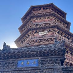 XINJIN TAO User Photo