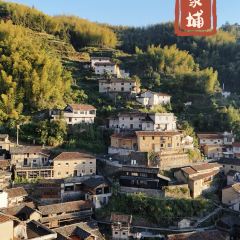 飞茑集樢咖啡 User Photo