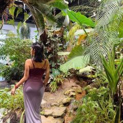 泰椰天香·江景六国料理 User Photo