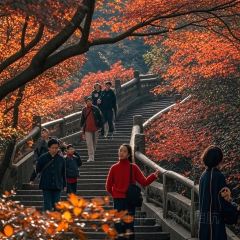 王莊阿咪大牌檔 （省體店）張用戶圖片