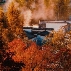 秀嫂挞粿 User Photo