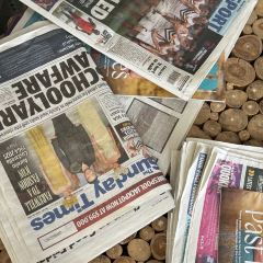 Little Bay Bar & Eatery User Photo