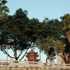 圆圈松跃生烫(新华商城小区店) User Photo