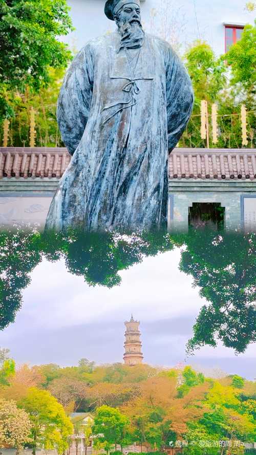 rong jun zao cha