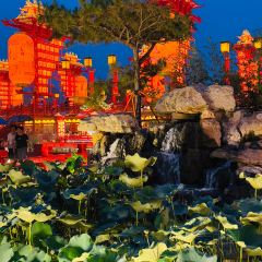 Huaiyangcun User Photo