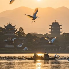 LIN SHANG REN JIA User Photo
