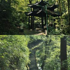 牛满堂土菜馆·跷脚牛肉(峨眉店) User Photo