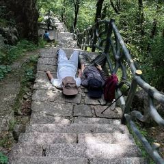 灵山酒酿 User Photo