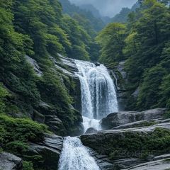肖家郟縣餄餎面張用戶圖片