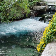 JIN CHUN XI User Photo