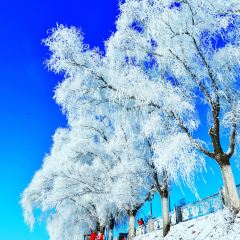 Shunji Traditional Cold Noodles 여행 사진