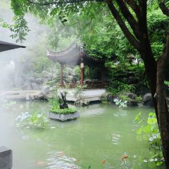 JUBILEE GARDEN User Photo