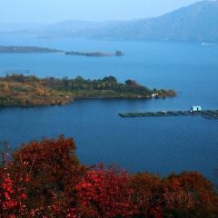 SHENG YU REN JIA User Photo