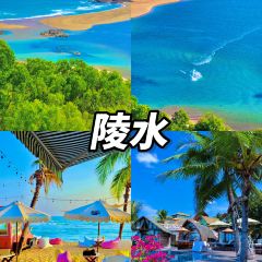 dan jia yu pai User Photo