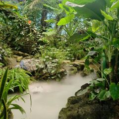 泰椰天香·江景六国料理 User Photo