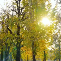 桂記灕江魚家常菜館張用戶圖片