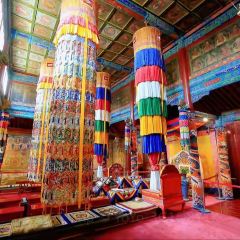 LAOSUIYUAN User Photo