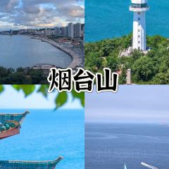 海島日記（養馬島店）張用戶圖片