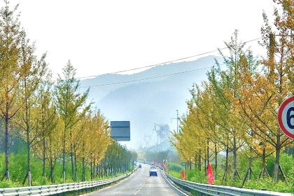 祁小猴驿站 茶咖·餐厅