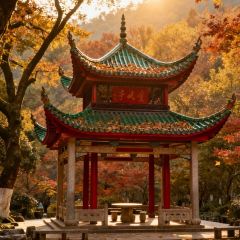 JU WEI QU JI User Photo