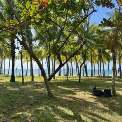 嫚姐清补凉·水果炒冰(渔村店) User Photo