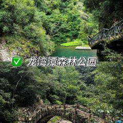 LIN SHANG REN JIA User Photo