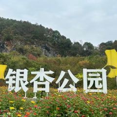 诸暨正宗次坞打面(人民西路店) User Photo