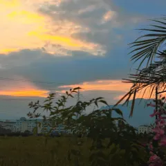 一尺稻田咖啡 User Photo