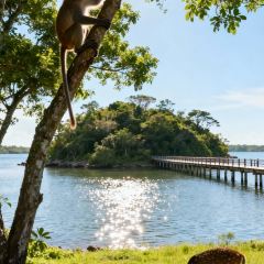 臭鳜鱼人家·老字号徽菜 User Photo