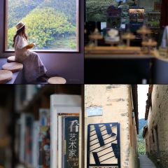 飞茑集樢咖啡 User Photo