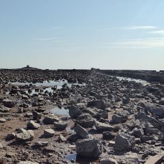 成山头裕福祥渔家乐 User Photo