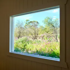 RABBIT HOLE User Photo