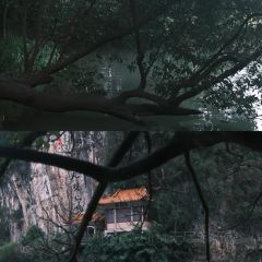 XIN SHI HUI User Photo