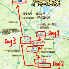 紫藤园·天目湖大鱼头(南山竹海店) User Photo