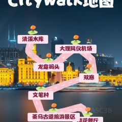 丽江飞鸟民谣酒吧(束河店) User Photo