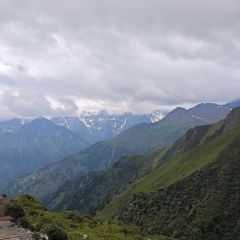 QIANG GU XIAO CHI User Photo