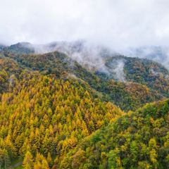 XIANG WEI CUN GU CHANG CAI User Photo