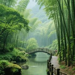 Tujia A Mei Restaurant 여행 사진