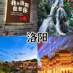 绘璟轩·不醒人室 User Photo