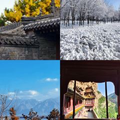 Mr chai Noodle User Photo