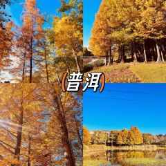 Shunji Traditional Cold Noodles 여행 사진