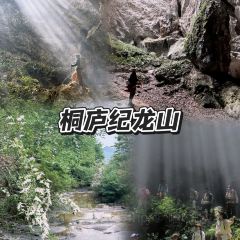 LIN SHANG REN JIA User Photo