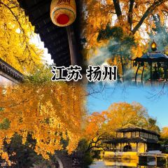 仓桥直街臭豆腐 User Photo