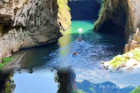 WANG FAMILY GOLD MEDAL DRIED TOFU HOT POT