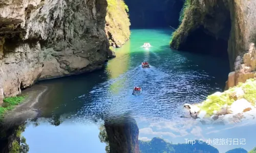 WANG FAMILY GOLD MEDAL DRIED TOFU HOT POT